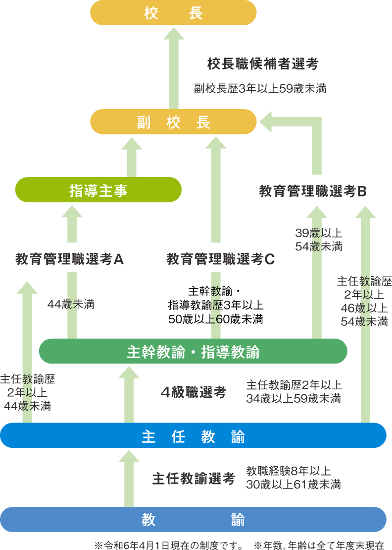 任用制度とキャリアアップ