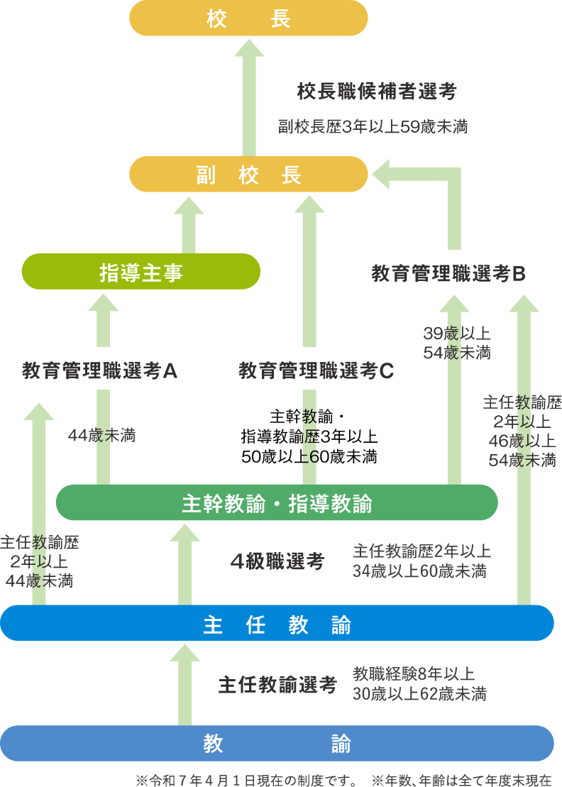 任用制度とキャリアアップ