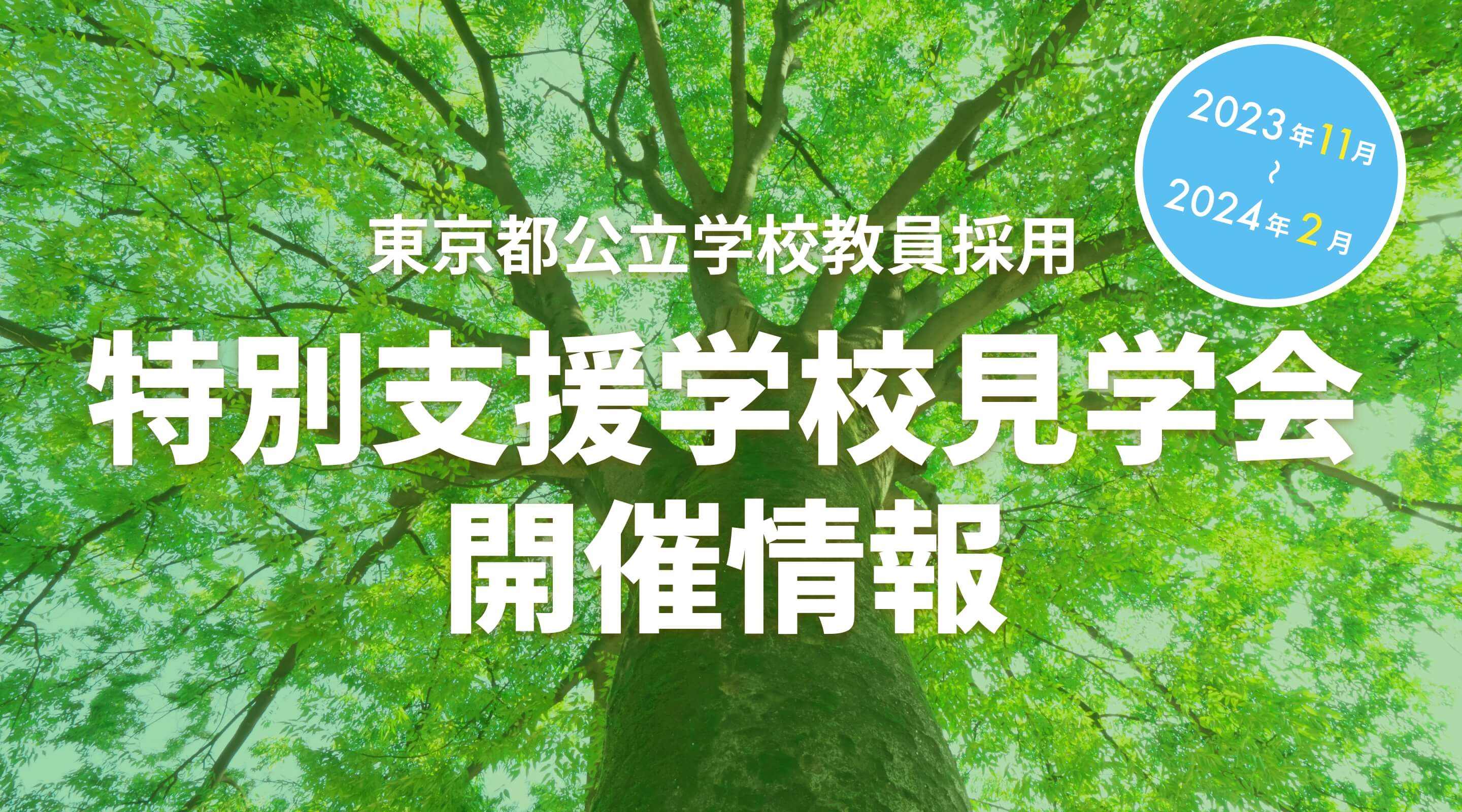 特別支援学校見学会