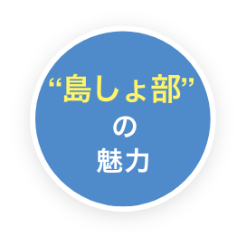 島しょ部の魅力